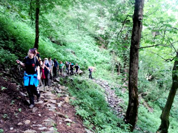 Deo Tibba Trek